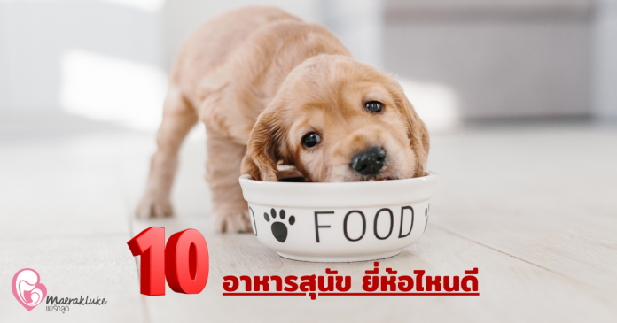 อาหารสุนัข ยี่ห้อไหนดี